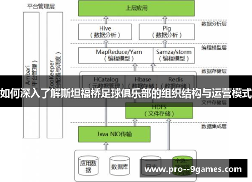 如何深入了解斯坦福桥足球俱乐部的组织结构与运营模式 如何深入了解斯坦福桥足球俱乐部的组织结构与运营模式